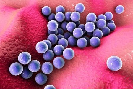 https://blog.heliantheae.bg/index.php/2018/08/06/bacteria-and-other-pathogens-that-magnesium-detox-fights/